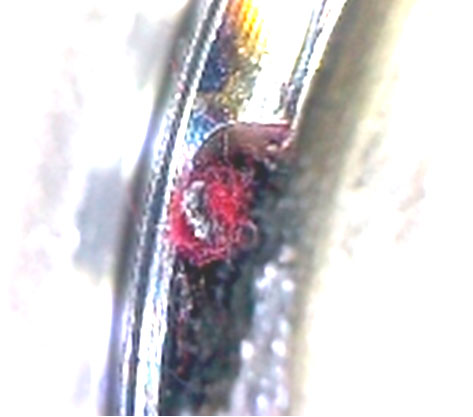 Фото 21. Запёкшиеся вещество красного цвета (вид через микроскоп – увеличение в 10 раз)