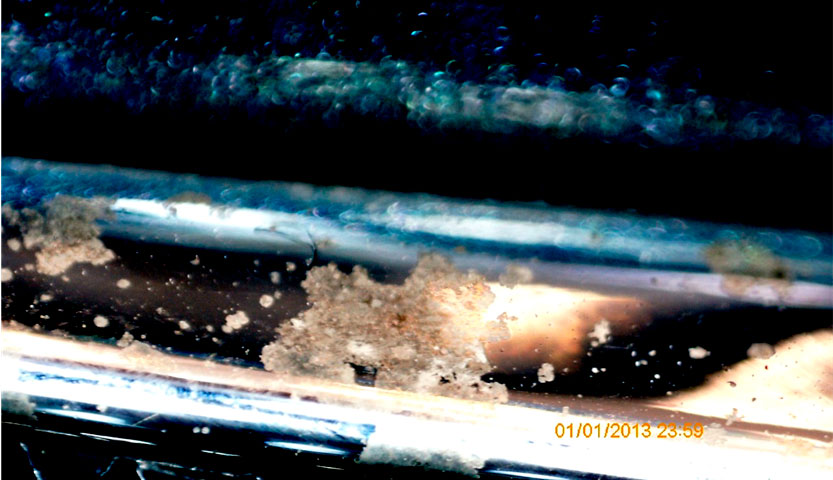 Фото 29. Общий вид типичных коррозионных повреждений на хромированных вставках решетки радиатора в поле зрения портативного цифрового микроскопа.