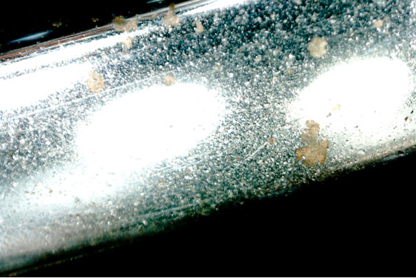 Фото 32. Общий вид типичных коррозионных повреждений на хромированных буквах задней (пятой) двери в поле зрения портативного цифрового микроскопа.