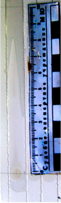 Фото 5. Тонкослойная хроматограмма после обработки водой. Система октан – бензол (5:1).