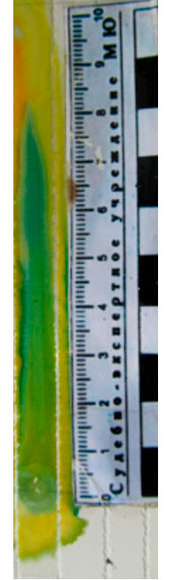 Фото 6. Тонкослойная хроматограмма после обработк смесью 0,1% спиртовых растворов индикаторов бромфенолового синего и бромкрезолового зеленого. Система октан – бензол (5:1).