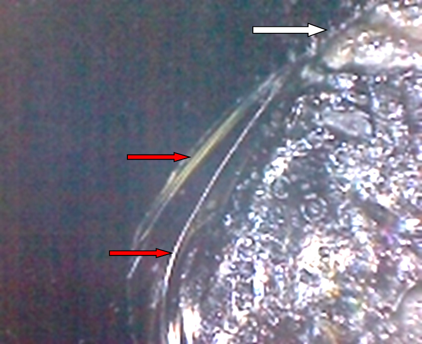 Фото 20. Очаг  зарождения скола в виде глубокого вдавленного следа с грязевыми наложениями внутри него (показан белой стрелкой) и трассы к данному следу (показаны красной стрелкой). Вид через микроскоп (увеличение в 30 раз).