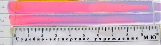 Фото 12. Тонкослойная хроматограмма после обработки раствором 0,05 % дитизона в хлороформе. Система октан – бензол (5:1)