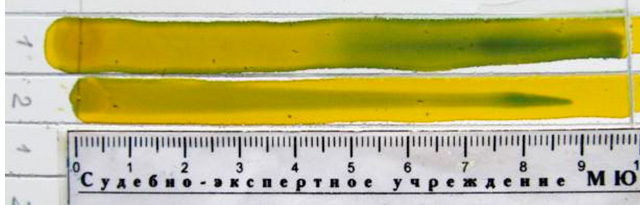 Фото 13. Тонкослойная хроматограмма после обработки смесью 0,1% спиртовых растворов индикаторов бромфенолового синего и бромкрезолового зеленого. Система октан – бензол (5:1)