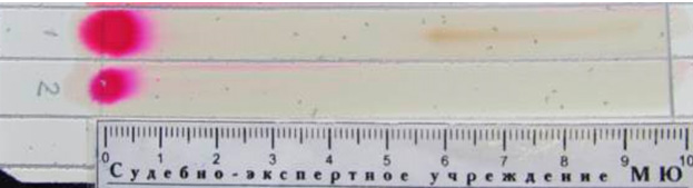 Фото 14. Тонкослойная хроматограмма после обработки 0,1% спиртовым раствором п-диметиламинокоричного альдегида, подкисленного соляной кислотой. Система октан – бензол (5:1)